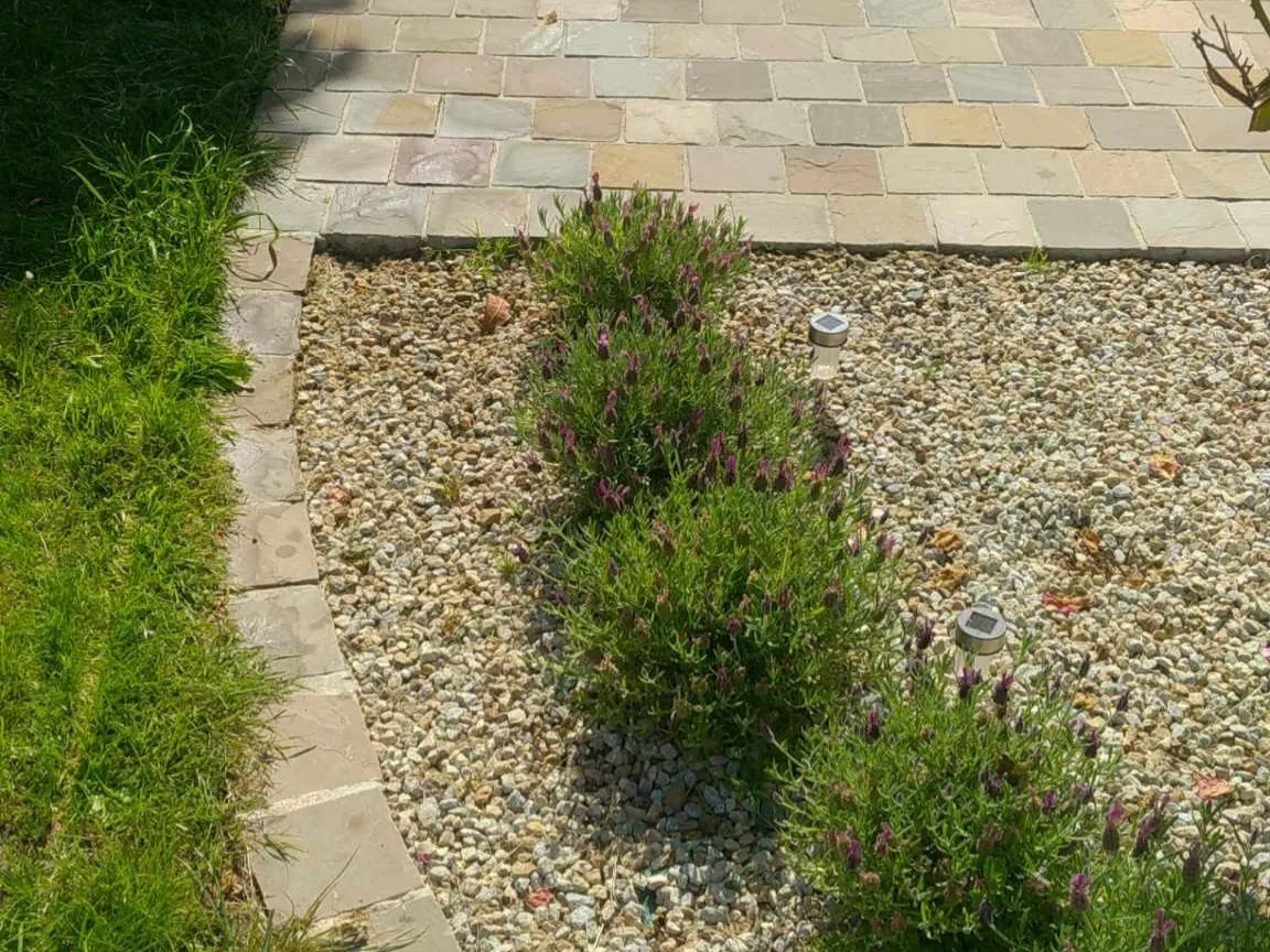 vidange fosse septique saint jouan des guerets